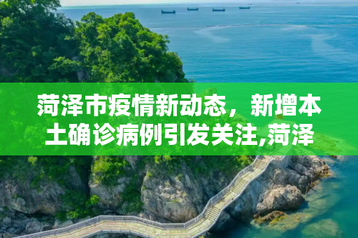 菏泽市疫情新动态，新增本土确诊病例引发关注,菏泽新增本土确诊