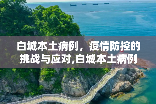 白城本土病例，疫情防控的挑战与应对,白城本土病例