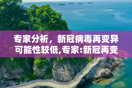 专家分析，新冠病毒再变异可能性较低,专家:新冠再变异可能性较低