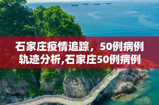 石家庄疫情追踪，50例病例轨迹分析,石家庄50例病例轨迹