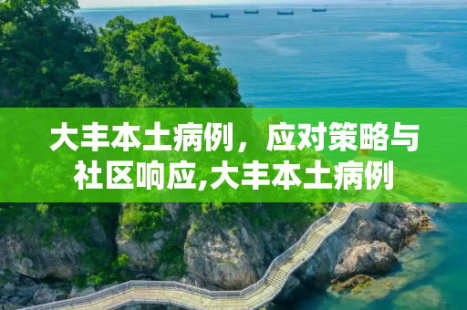 大丰本土病例，应对策略与社区响应,大丰本土病例