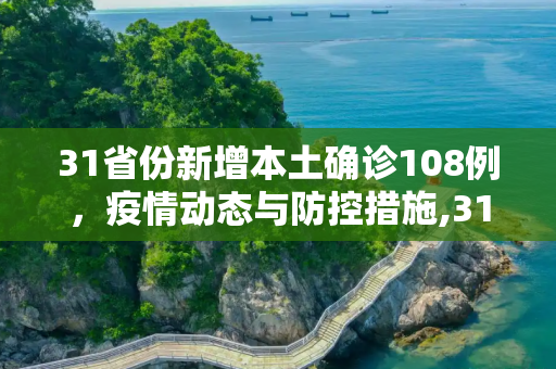 31省份新增本土确诊108例，疫情动态与防控措施,31省份新增本土确诊108例