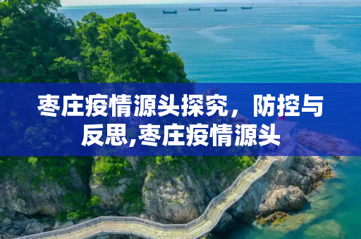 枣庄疫情源头探究，防控与反思,枣庄疫情源头