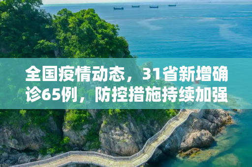 全国疫情动态，31省新增确诊65例，防控措施持续加强,31省新增确诊65例