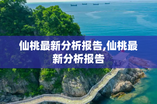 仙桃最新分析报告,仙桃最新分析报告