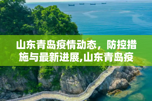 山东青岛疫情动态，防控措施与最新进展,山东青岛疫情动态