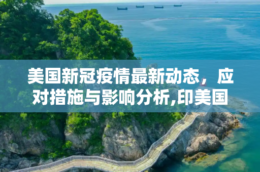 美国新冠疫情最新动态，应对措施与影响分析,印美国新冠疫情最新消息