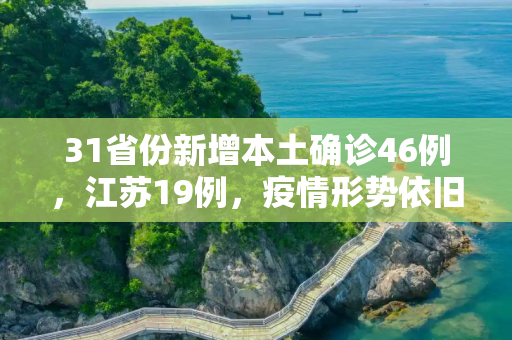 31省份新增本土确诊46例，江苏19例，疫情形势依旧严峻,31省份新增本土确诊46例 江苏19例