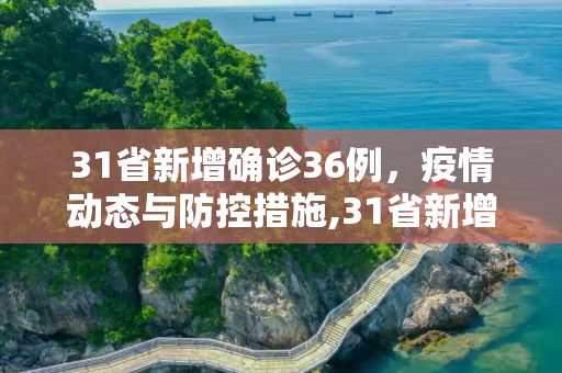 31省新增确诊36例，疫情动态与防控措施,31省新增确诊36例
