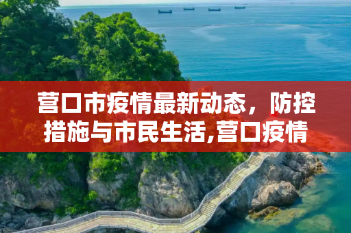营口市疫情最新动态，防控措施与市民生活,营口疫情最新情况