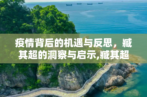 疫情背后的机遇与反思，臧其超的洞察与启示,臧其超谈疫情背后的机遇与反思