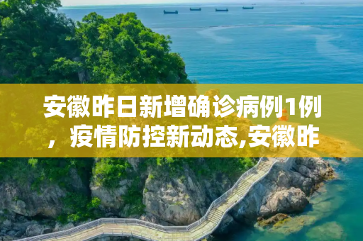 安徽昨日新增确诊病例1例，疫情防控新动态,安徽昨日新增确诊病例1例