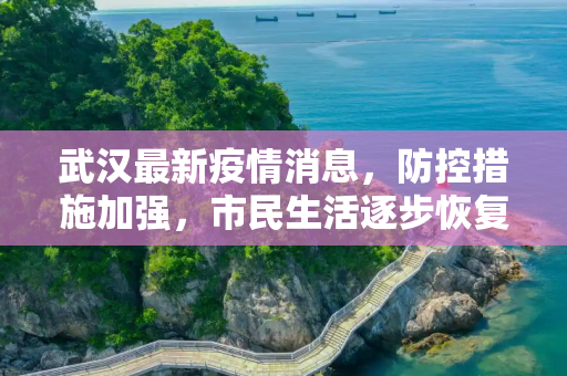武汉最新疫情消息，防控措施加强，市民生活逐步恢复正常,武汉最新疫情消息
