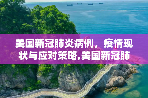 美国新冠肺炎病例，疫情现状与应对策略,美国新冠肺炎病例