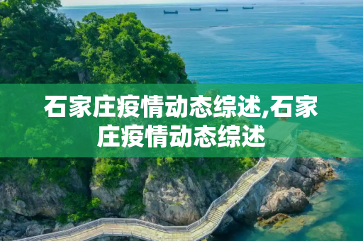 石家庄疫情动态综述,石家庄疫情动态综述