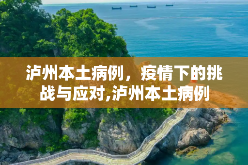泸州本土病例，疫情下的挑战与应对,泸州本土病例
