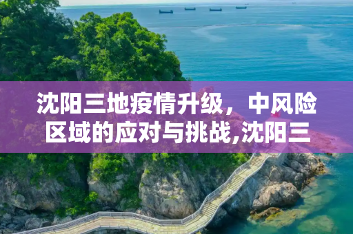 沈阳三地疫情升级，中风险区域的应对与挑战,沈阳三地升为中风险