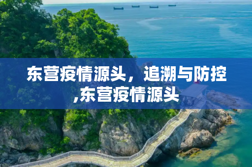 东营疫情源头，追溯与防控,东营疫情源头