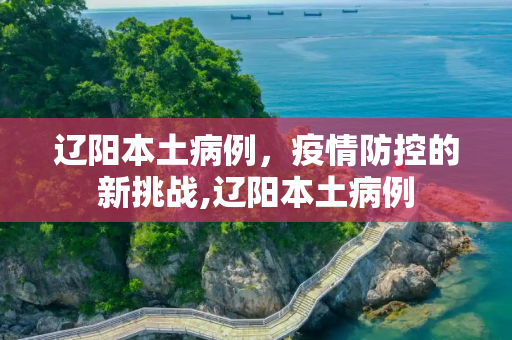 辽阳本土病例，疫情防控的新挑战,辽阳本土病例