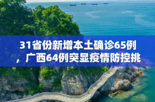31省份新增本土确诊65例，广西64例突显疫情防控挑战,31省份新增本土确诊65例 广西64例