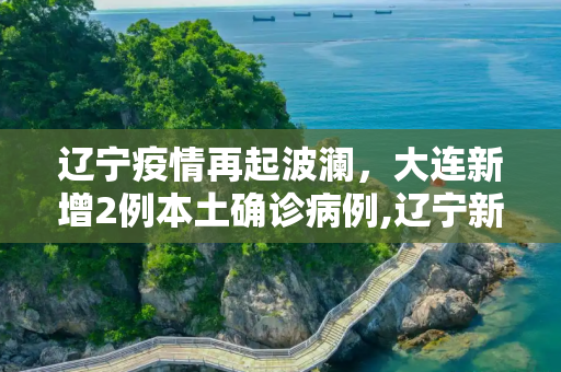 辽宁疫情再起波澜，大连新增2例本土确诊病例,辽宁新增2例本土确诊在大连