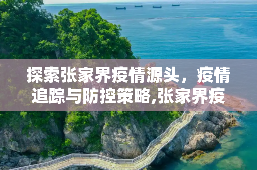 探索张家界疫情源头，疫情追踪与防控策略,张家界疫情源头
