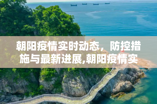 朝阳疫情实时动态，防控措施与最新进展,朝阳疫情实时动态