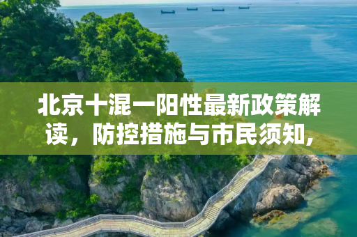 北京十混一阳性最新政策解读，防控措施与市民须知,北京十混一阳性最新政策