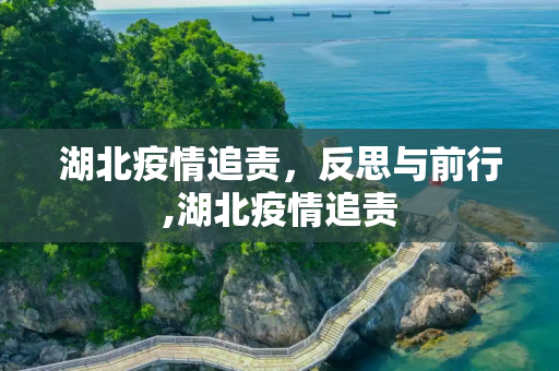 湖北疫情追责，反思与前行,湖北疫情追责