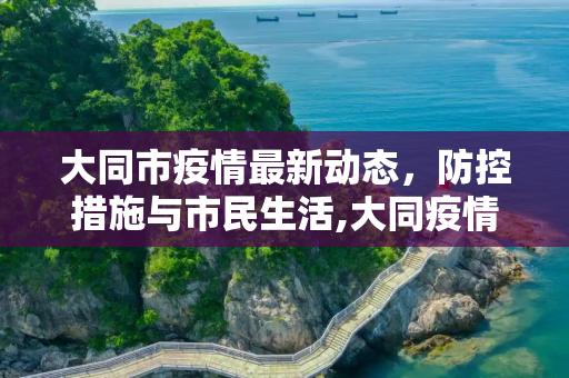大同市疫情最新动态，防控措施与市民生活,大同疫情最新情况