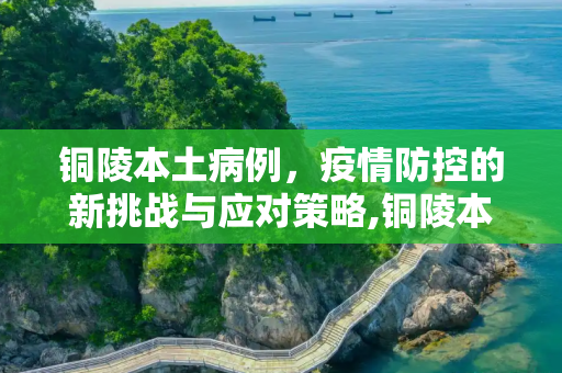 铜陵本土病例，疫情防控的新挑战与应对策略,铜陵本土病例