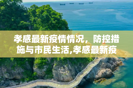 孝感最新疫情情况，防控措施与市民生活,孝感最新疫情情况