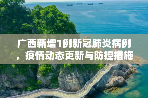 广西新增1例新冠肺炎病例，疫情动态更新与防控措施,广西新增1例是哪里的