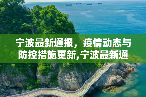 宁波最新通报，疫情动态与防控措施更新,宁波最新通报