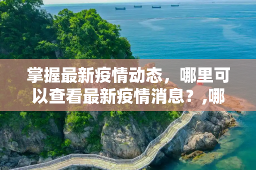 掌握最新疫情动态，哪里可以查看最新疫情消息？,哪里可以查看最新疫情消息？