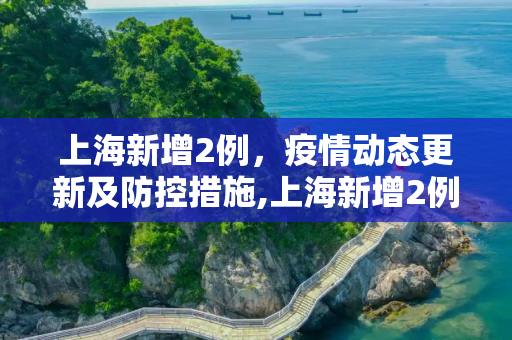 上海新增2例，疫情动态更新及防控措施,上海新增2例