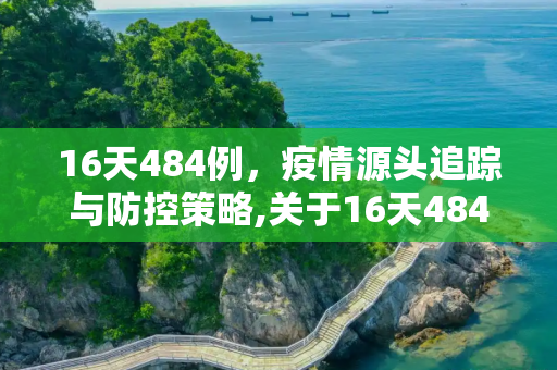 16天484例，疫情源头追踪与防控策略,关于16天484例源头在哪的信息