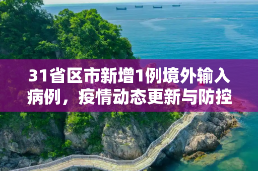 31省区市新增1例境外输入病例，疫情动态更新与防控措施,31省区市新增1例境外输入病例