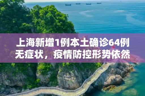 上海新增1例本土确诊64例无症状，疫情防控形势依然严峻,关于上海新增1例本土确诊64例无症状的信息