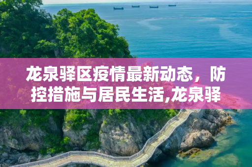 龙泉驿区疫情最新动态，防控措施与居民生活,龙泉驿区疫情最新消息
