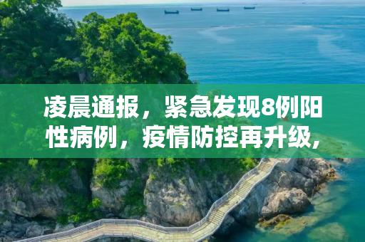 凌晨通报，紧急发现8例阳性病例，疫情防控再升级,凌晨通报:发现8例阳性