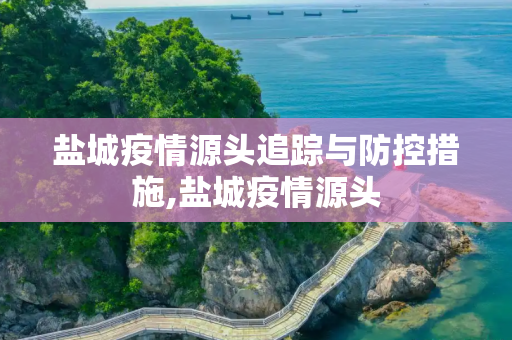 盐城疫情源头追踪与防控措施,盐城疫情源头