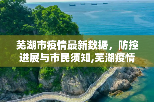 芜湖市疫情最新数据，防控进展与市民须知,芜湖疫情最新数据