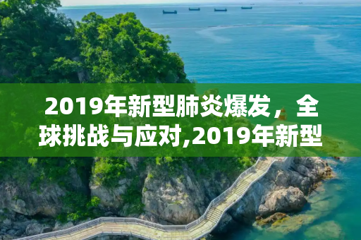 2019年新型肺炎爆发，全球挑战与应对,2019年新型肺炎爆发