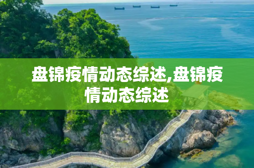盘锦疫情动态综述,盘锦疫情动态综述