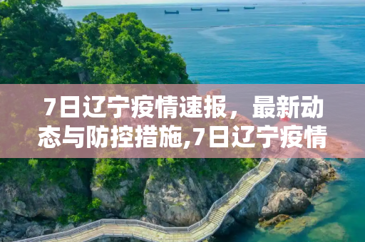 7日辽宁疫情速报，最新动态与防控措施,7日辽宁疫情速报