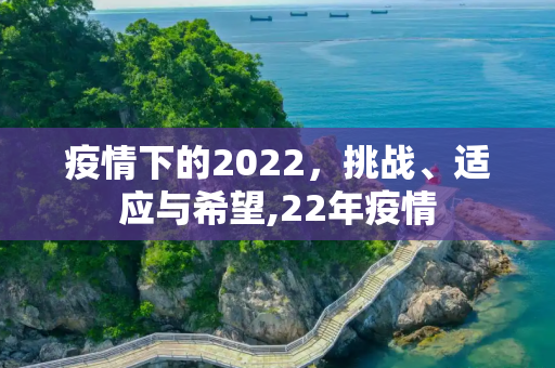 疫情下的2022，挑战、适应与希望,22年疫情
