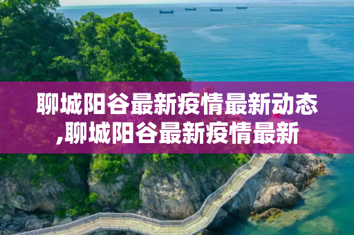 聊城阳谷最新疫情最新动态,聊城阳谷最新疫情最新