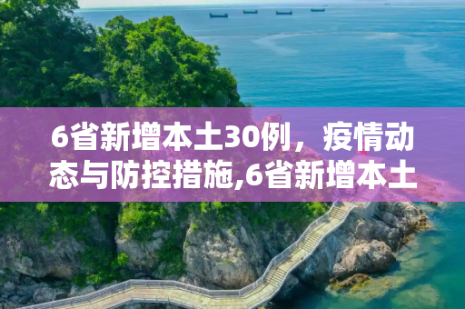 6省新增本土30例，疫情动态与防控措施,6省新增本土30例