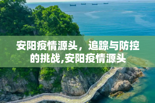 安阳疫情源头，追踪与防控的挑战,安阳疫情源头